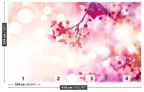 Fotótapéta Cseresznye virágok 104x70 cm