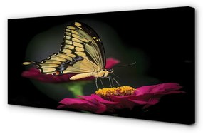 Canvas képek Pillangó a virágon 125x50 cm