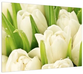 Tulipán virág képe (70x50 cm)