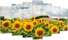 Vászonkép 140x80 Tájkép napraforgókkal