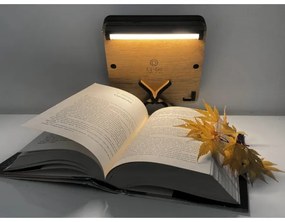 Li-Go 4070/DUB2 - LED asztali dekoráció LED/12W/230V 19x19 cm tölgy/ló