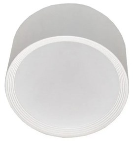 LED Mennyezeti lámpa PERCI LED/30W/230V IP40 2700K fehér