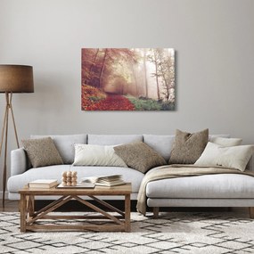 Kép - Őszi séta az erdőben (90x60 cm)