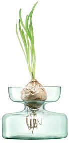 Váza/üveg ültető, 10 cm magas, átlátszó - LSA International