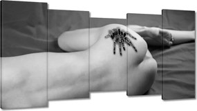 Vászonkép 150x80 Női akt pókkal