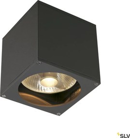 SLV 229565 THEO Modern Kültéri Fali Lámpa Antracit GU10/ES111 IP44