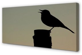 Canvas képek fekete madár 100x50 cm