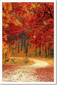 Poszterek keretben 40x60 Tájkép