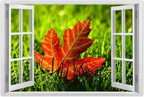 Poszterek 60x40 Őszi levél a fűben