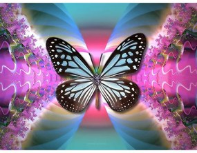 5D gyémánt mozaik - LARGE - Hypno Butterfly