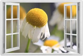 Poszterek 90x60 Kamilla