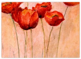 Kép - piros tulipán (üvegen) (70x50 cm)