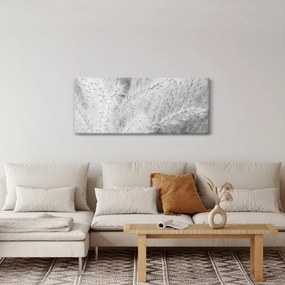 Kép - Pampafű N⁰1 (120x50 cm)