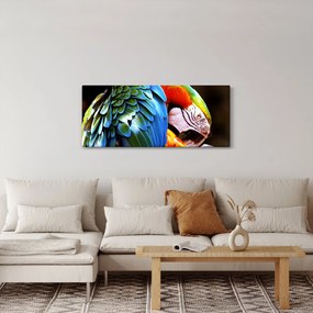 Kép - Papagáj (120x50 cm)