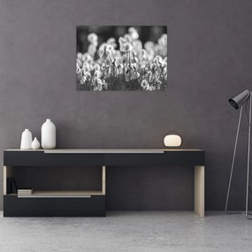 Kép - Nyári rét (70x50 cm)