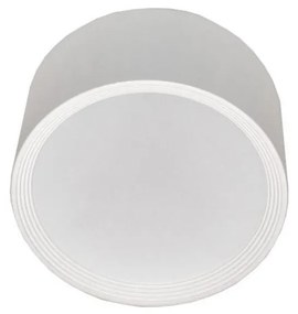 LED Mennyezeti lámpa PERCI LED/30W/230V IP40 4000K fehér