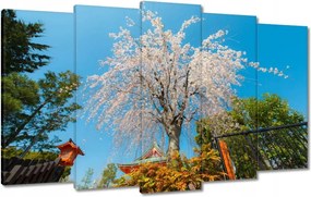 Vászonkép 100x60 Virágzó cseresznye