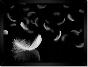 Poszterek keretben 40x30 Hulló fehér tollak