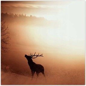 Poszterek 140x140 Szarvas az erdő szélén