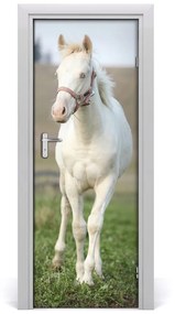 Ajtóposzter öntapadós ló albínó 75x205 cm