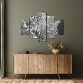 Kép - Lucfenyő erdő (150x105 cm)