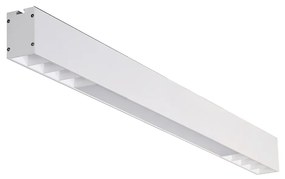 Linelio Mix LED