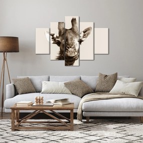 Kép - Zsiráf portré, vintage (150x105 cm)