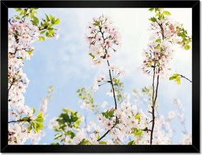 Poszterek keretben 40x30 Virágok