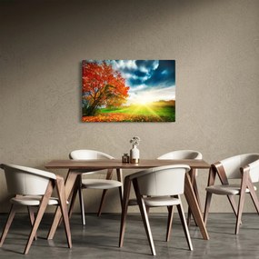Napsütésben fürdő táj képe (90x60 cm)