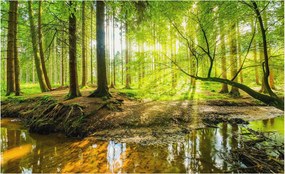 Stílusos Dekoratív Fotótapéta Flizelin Zöld táj 416x254 Ragasztó