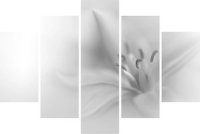Kép - Delicate Lily (150x105 cm)
