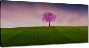 Vászonkép 115x55 Malackafa