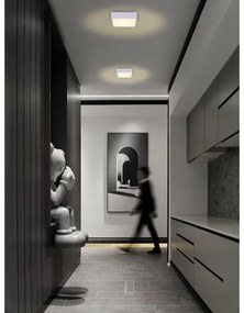 Immax NEO 07238L - LED dimmelhető mennyezeti lámpa CANTO 22W/230V fehér Tuya + t