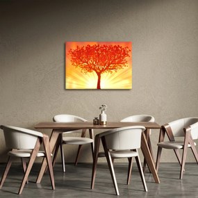 Kép - Fa a nap ragyogásában (70x50 cm)
