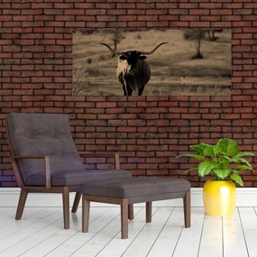 Kép - Texasi tehén (120x50 cm)