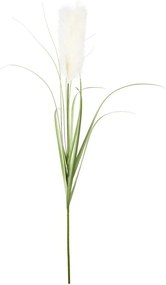 FLORISTA pampafű, krémszín 115 cm