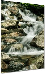 Vászonkép 70x100 Tátrai patak