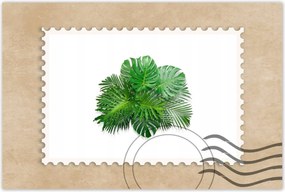 Poszterek 120x80 Monstera Lyukas levelek