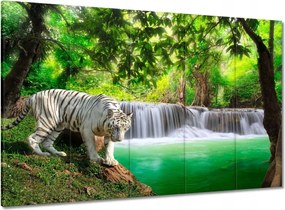 Vászonkép 100x70 Tigris a vízesésnél