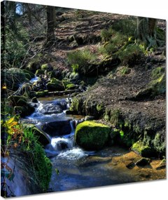 Vászonkép 40x40 Hegyi patak