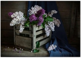 Poszterek 100x70 Doboz nélkül