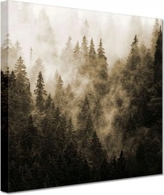 Vászonkép 20x20 Tájkép Szépia Hegyek Köd