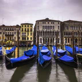 Poszter 30x30cm Gondolák a Grand Canal-on parkolva, Assaf Frank