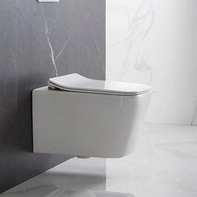 Tina fali rimless WC