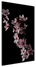 Egyedi üvegkép Cseresznye virágok osv-80647628
