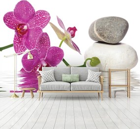 Fotótapéta - Orchideák (152,5x104 cm)