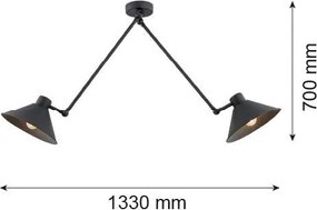 Argon ALTEA 862 Függőlámpa 2x15W/E27 IP20
