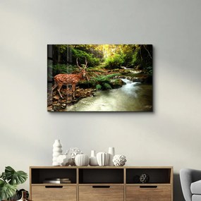 Üvegkép, 70×110 cm – CAM-3019