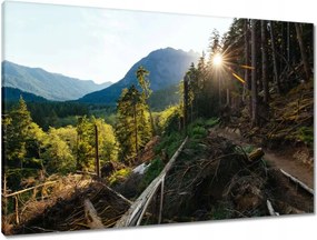 Vászonkép 90x60 Hegyek Napfény Erdő Ösvény