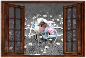 Poszterek 90x60 Tengerimalac kerékpárral